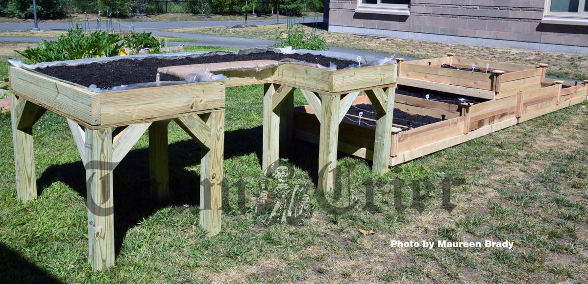 Tewksbury Memorial High School Students Build Accessible Garden To