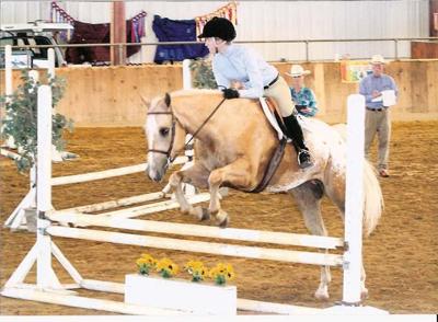 Swift Stride Jumping Saddle For Horse Riding Lovers