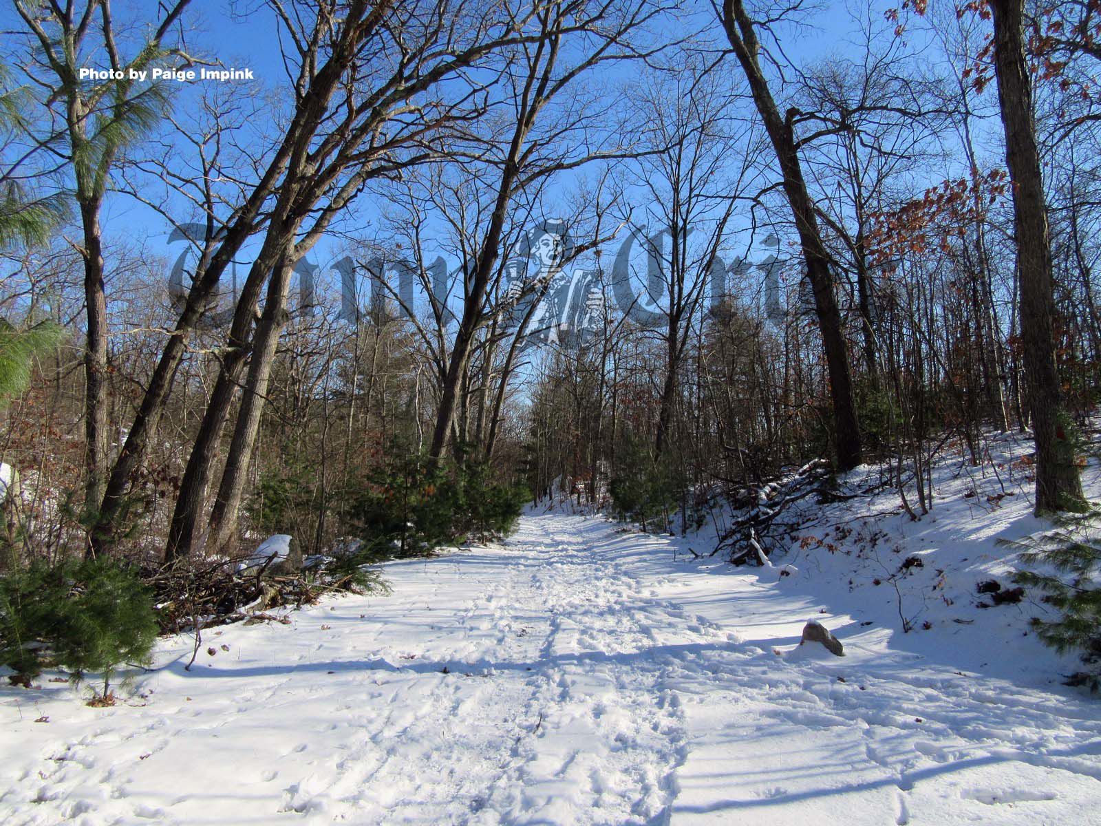 lynn woods mountain biking