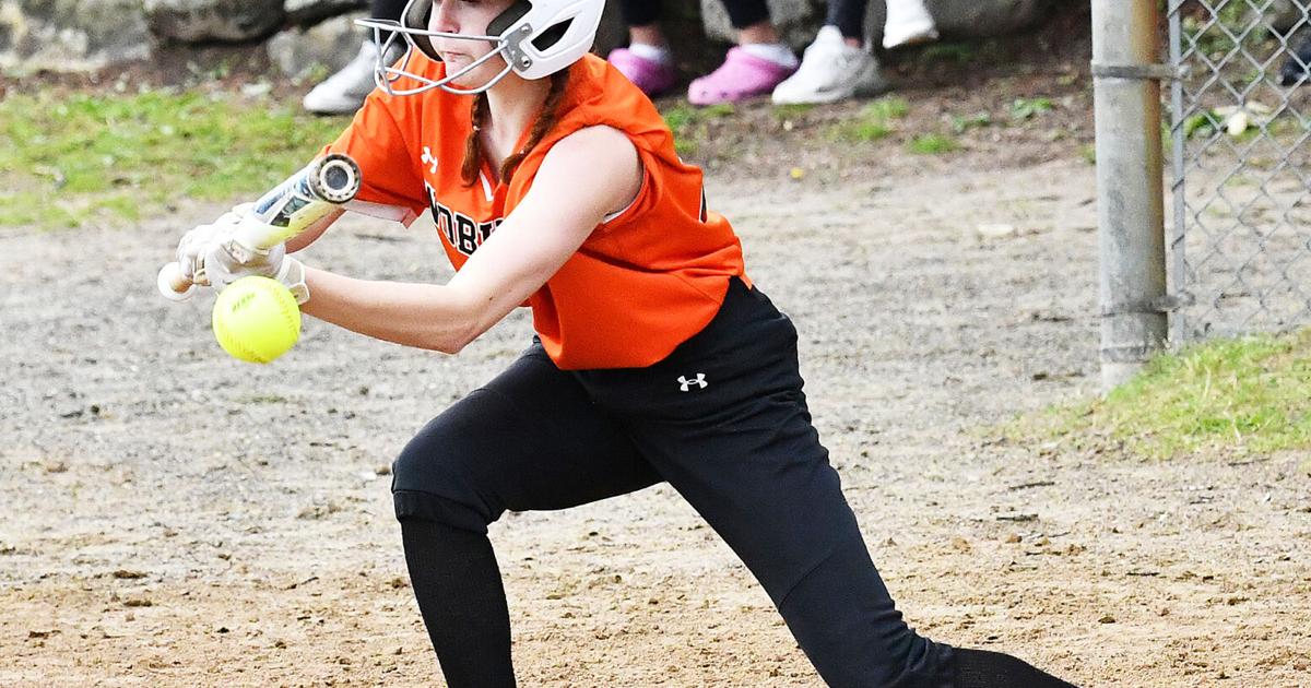 Softball Last Ride Woburn’s ride continues in state softball tournament | Sports ...