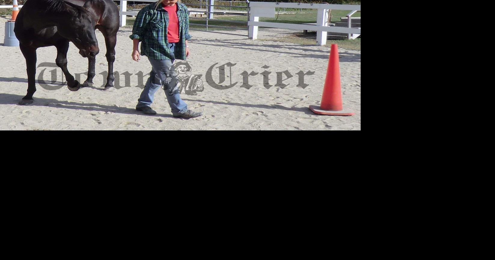 Patti Lessard shows the healing power of horses | News | homenewshere.com