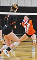 Fine Woburn volleyball season comes to end of the line