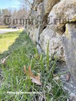 Spend April preparing your lawn for the summer