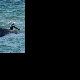 Stranded 44-Foot Whale Fights for Survival
