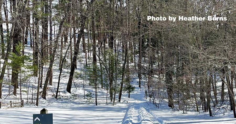 Many great places for local cross country skiing