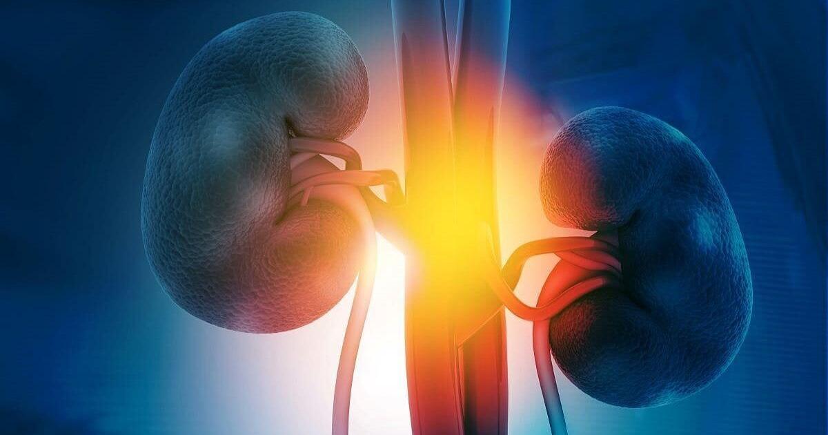 GLP-1 Meds Can Work Wonders for Kidney Health | Health GLP-1 Meds Can Work Wonders for Kidney Health | Health