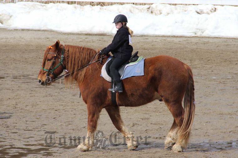 Two Tewksbury Girls compete in an Ironstone Farm Horse Show News
