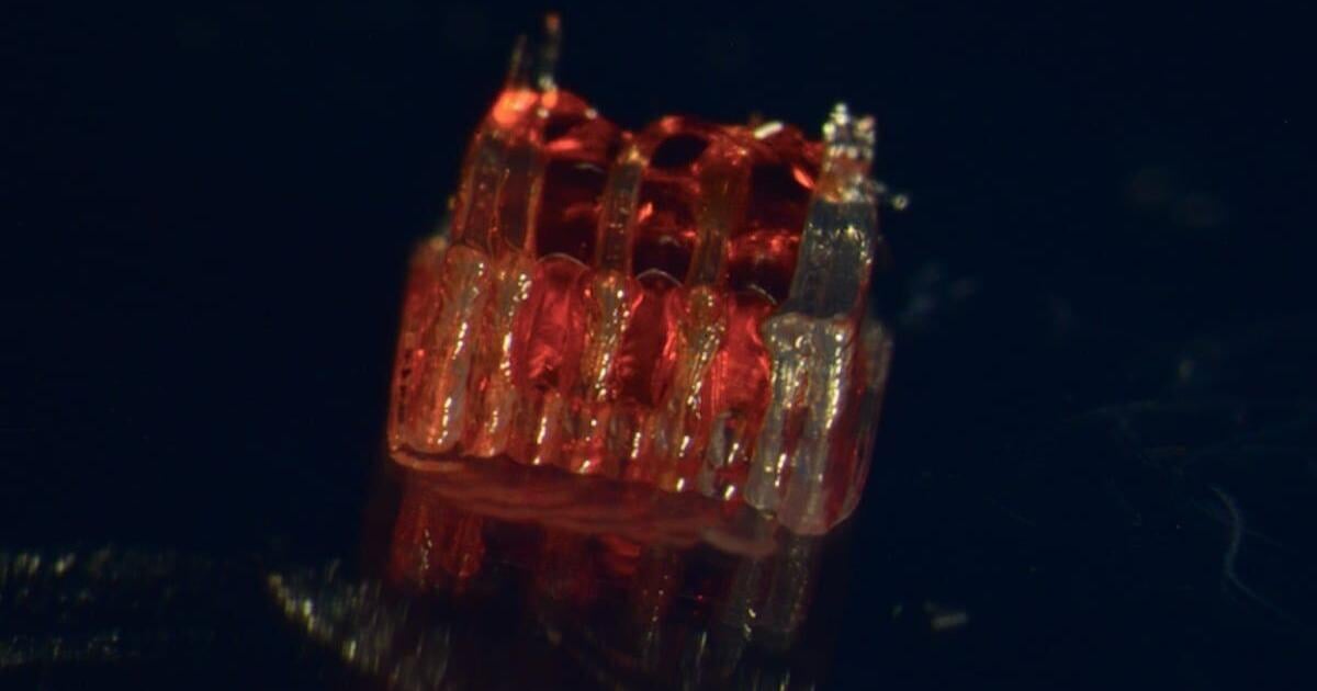 3D Printing Offering Hope For Spinal Cord Injuries | Health