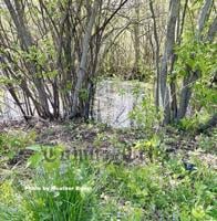 Celebrate American Wetlands Month this May