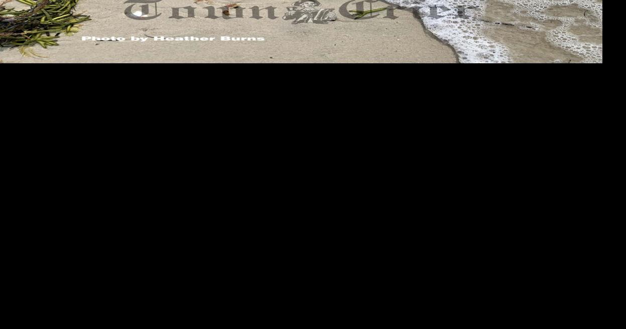 Seaweed is more than just a beach nuisance News