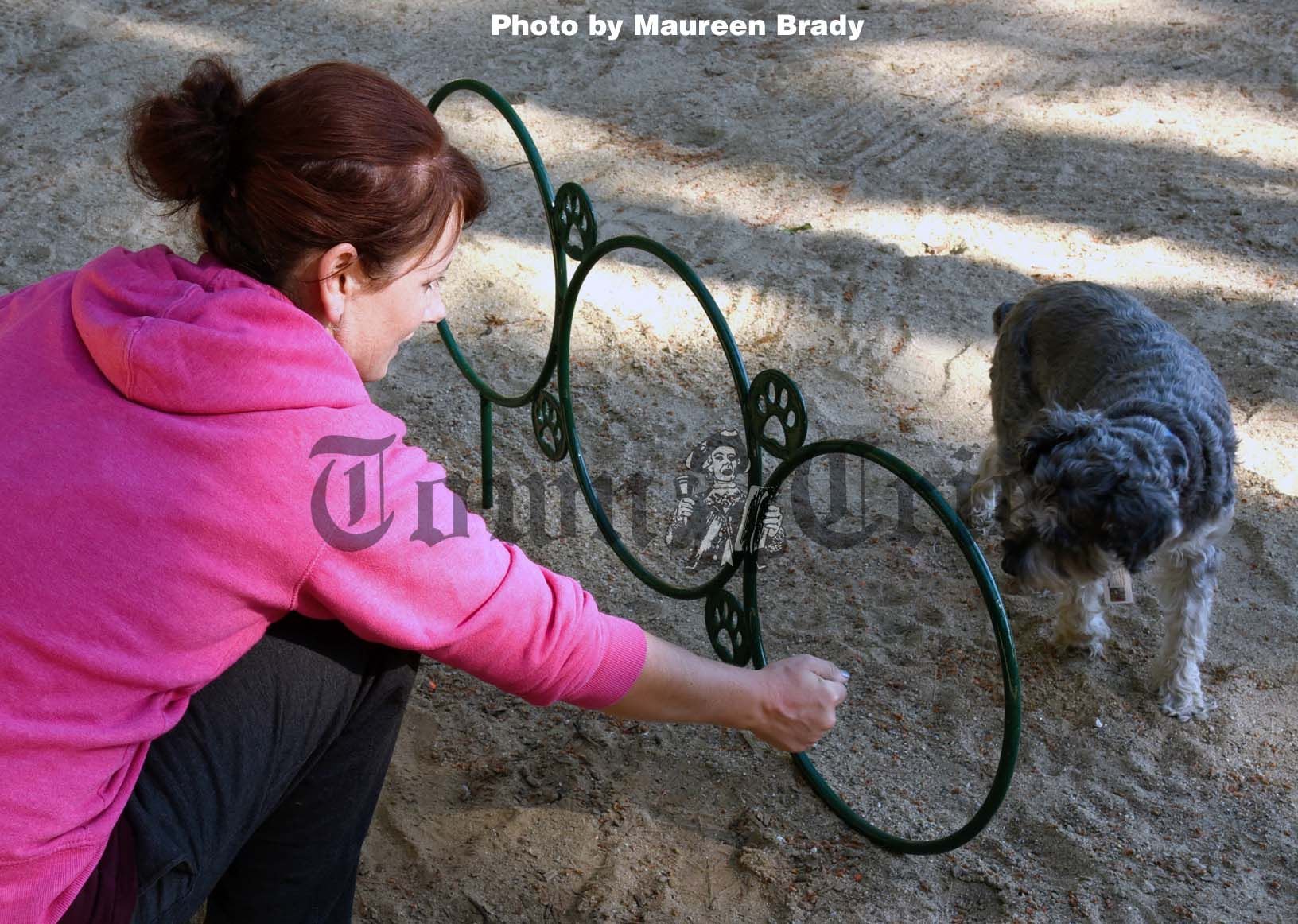 Hoop dog clearance tie out