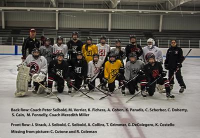 Arlington Hockey Club  Arlington High School Hockey Schedule Released!