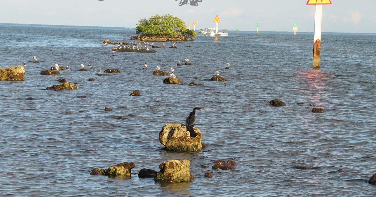 Biscayne National Park— an underwater park