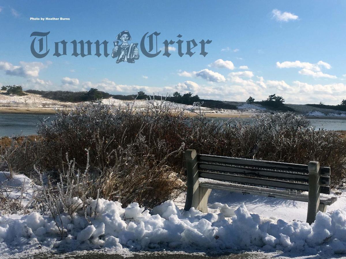Hit The Beach This Winter For Relaxation News Homenewshere Com