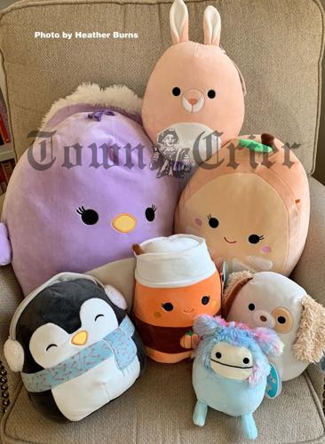 Collections of comfort: Squishmallow fans find companionship in the plush  toys, Local