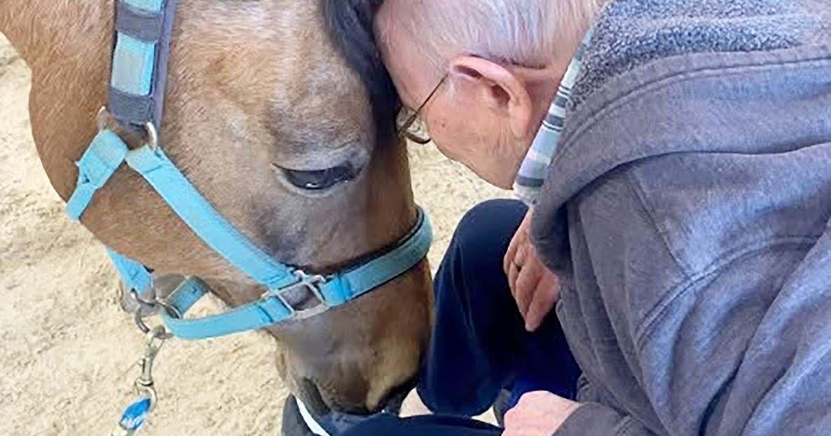 Strongwater Farm to celebrate 25 years of healing at anniversary gala