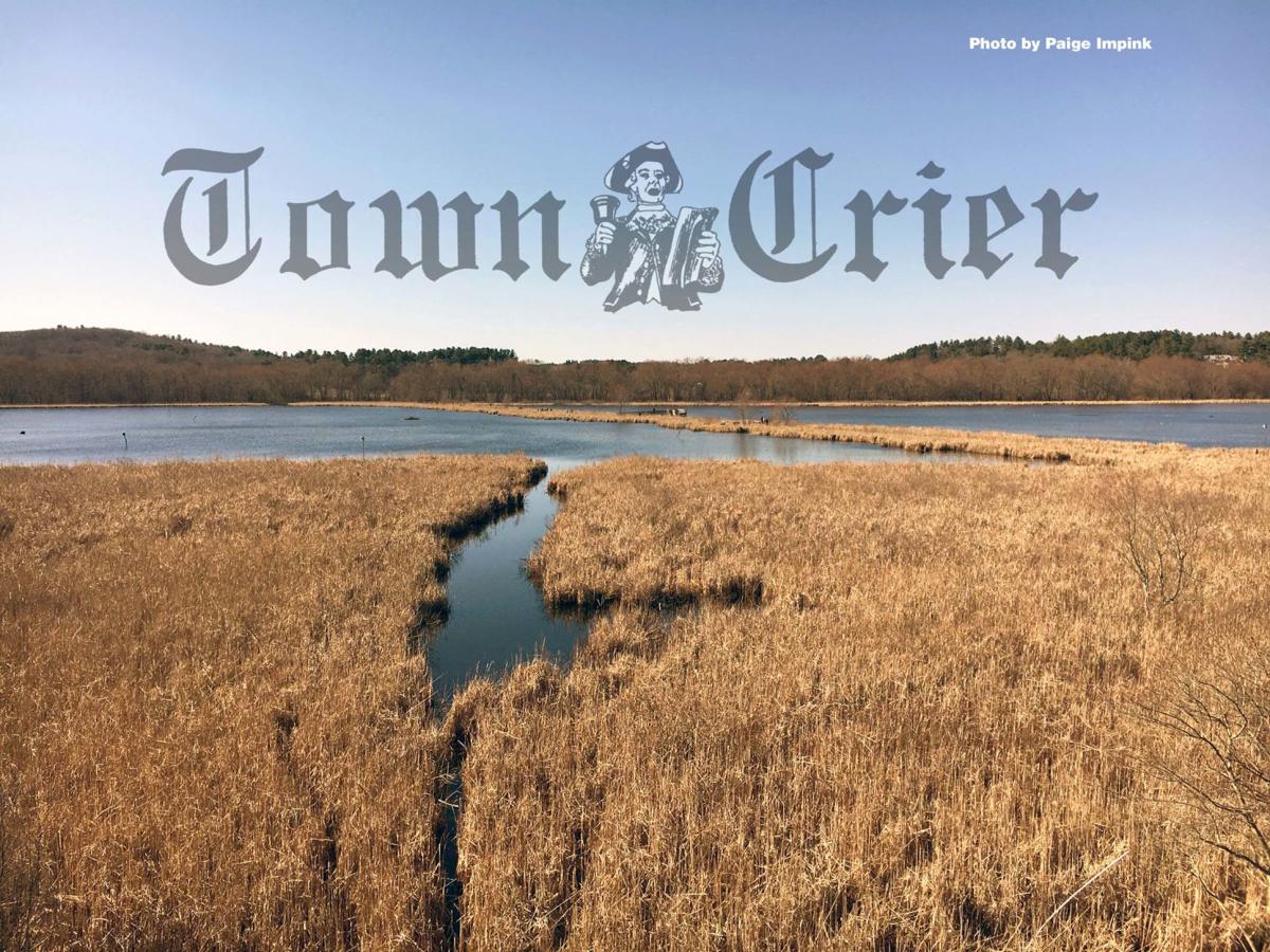 Great Meadows in Concord has great wildlife habitat | News