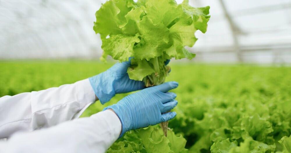 How Massachusetts's Foodborne Illness Rate Compares Nationally