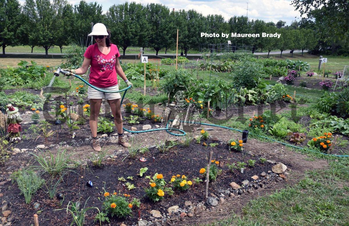 Tewksbury Library Community Garden Reaches Many News