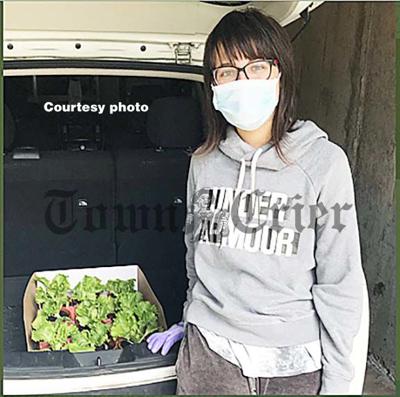 Tewksbury Coordinator Hannah Kocsmiersky with her lettuce plants