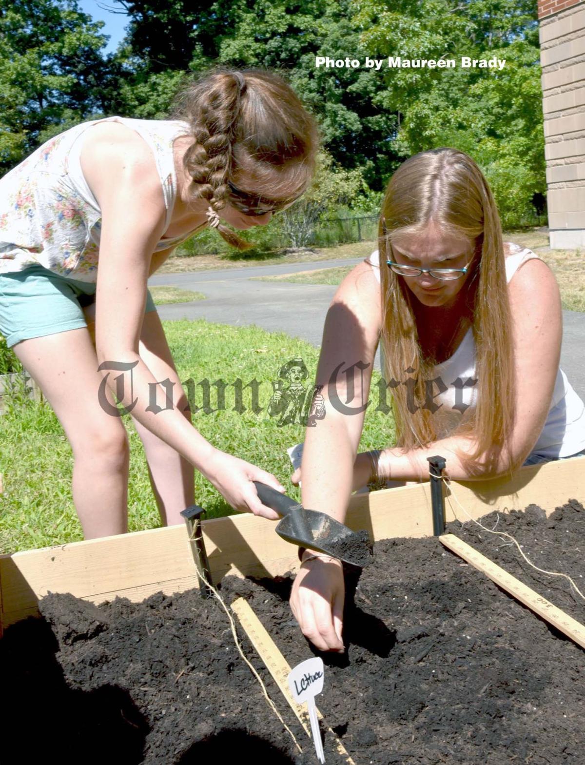 Tewksbury Memorial High School Students Build Accessible Garden To