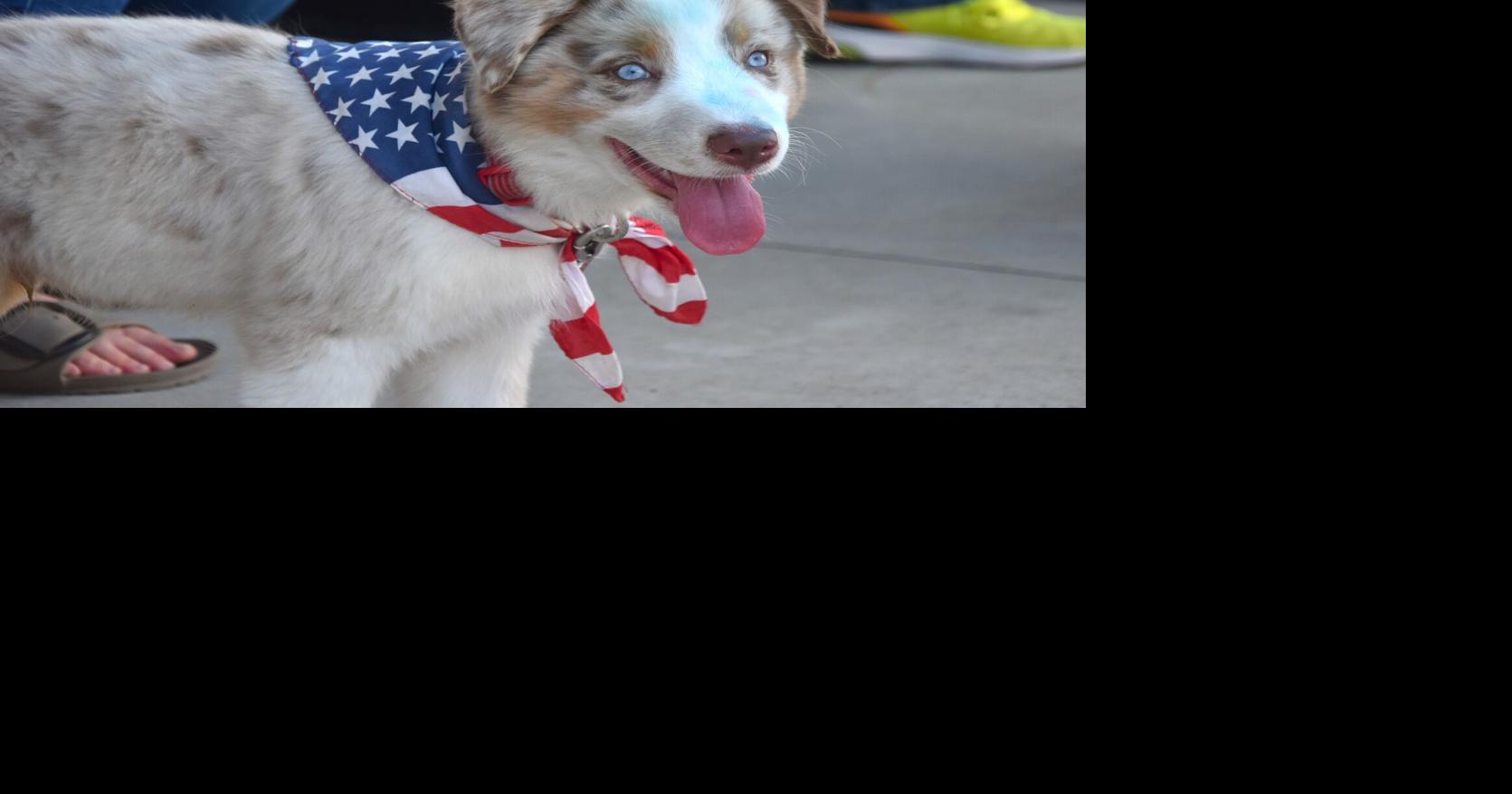 Grayville Days Pet Parade