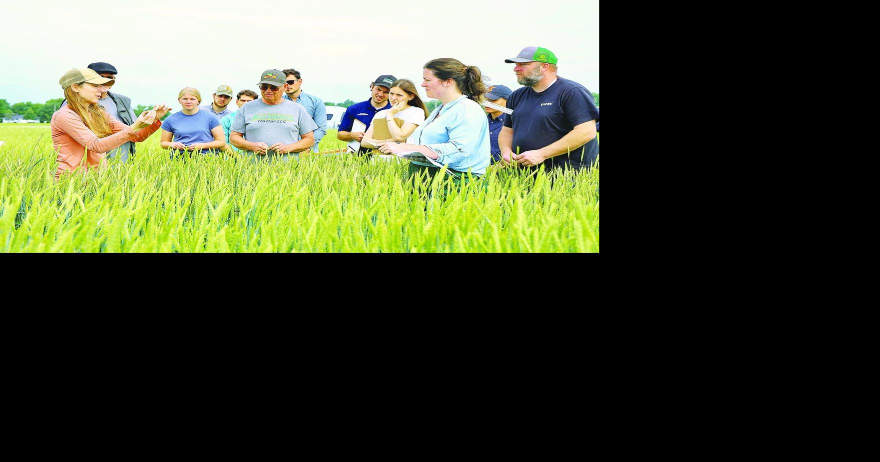 Illinois wheat tour projects 102-bushel state average yield