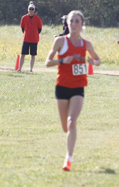 David wins IHSA Class 3A Sectional | Sports | hometownregister.com