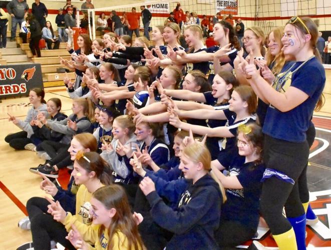 Teutopolis, St. Anthony headed to IESA state volleyball tournaments