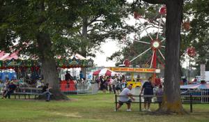 Scenes from the White County Fair