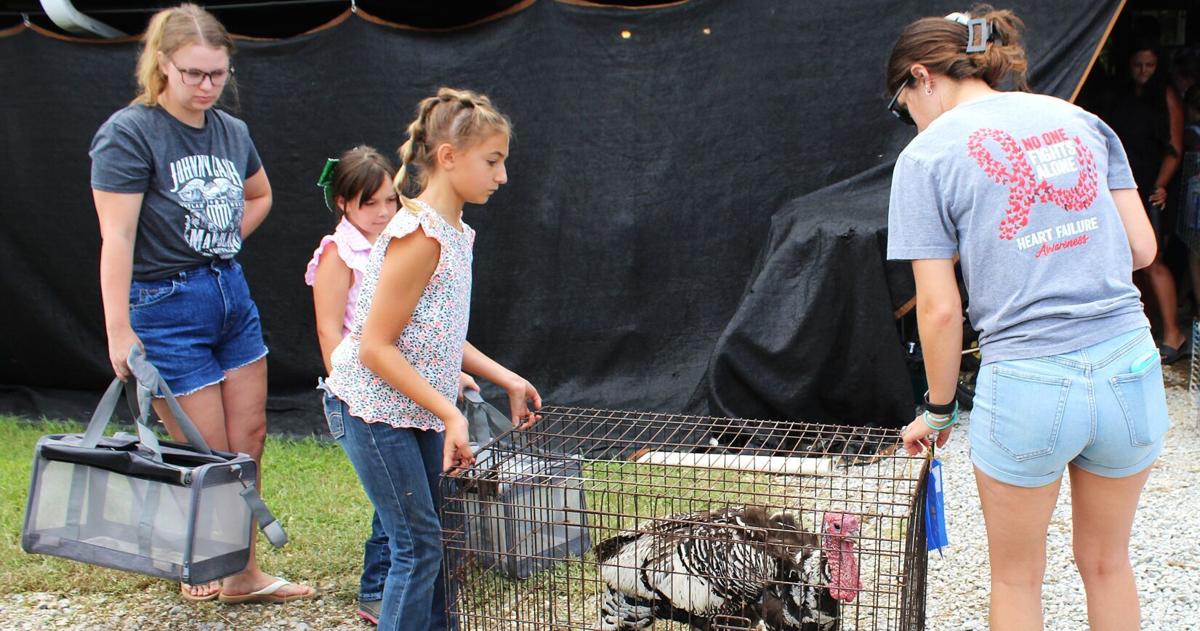 4-H livestock auction raises almost $195,000