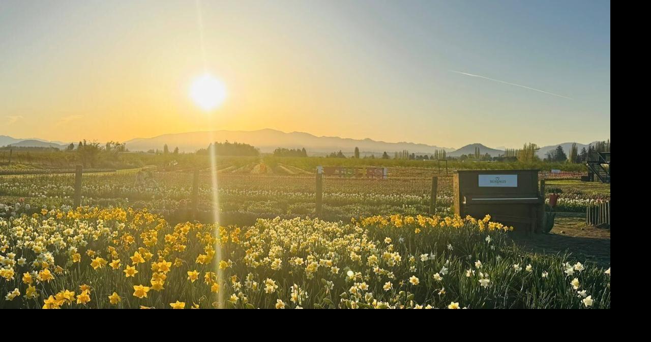 A Colorblind Air Force Veteran Gives Americans a Reason To Skip Europe for Spring Flower Experiences