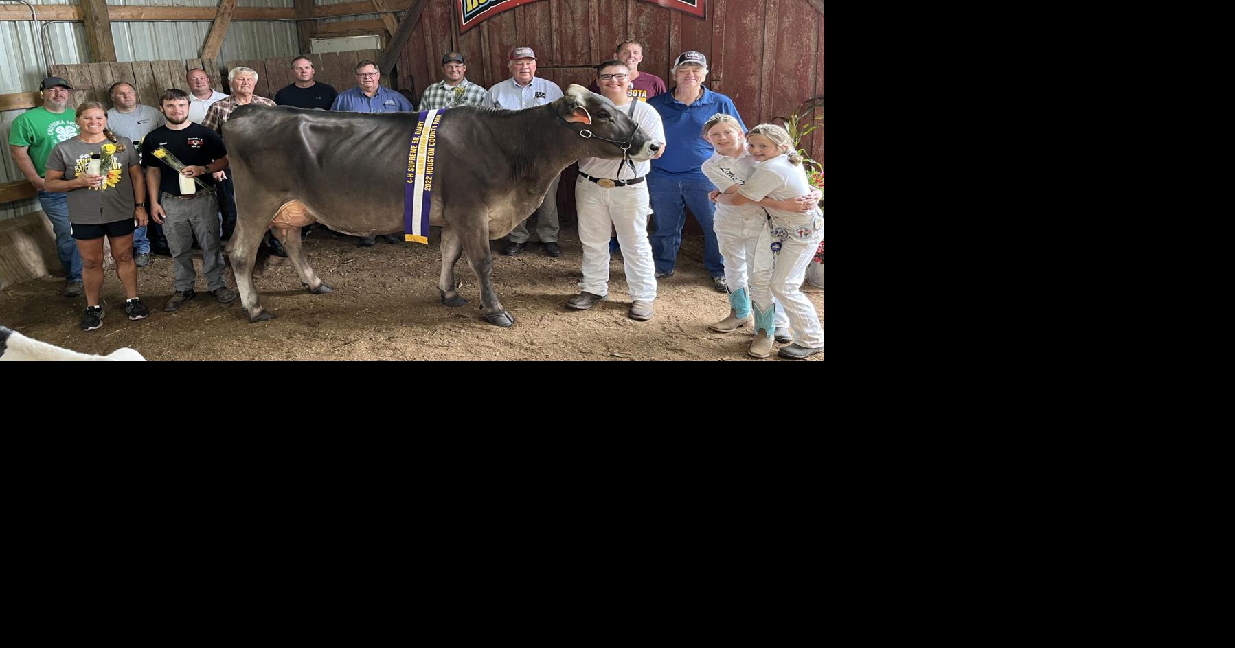 Houston County Holstein Club holds annual youth dairy auction