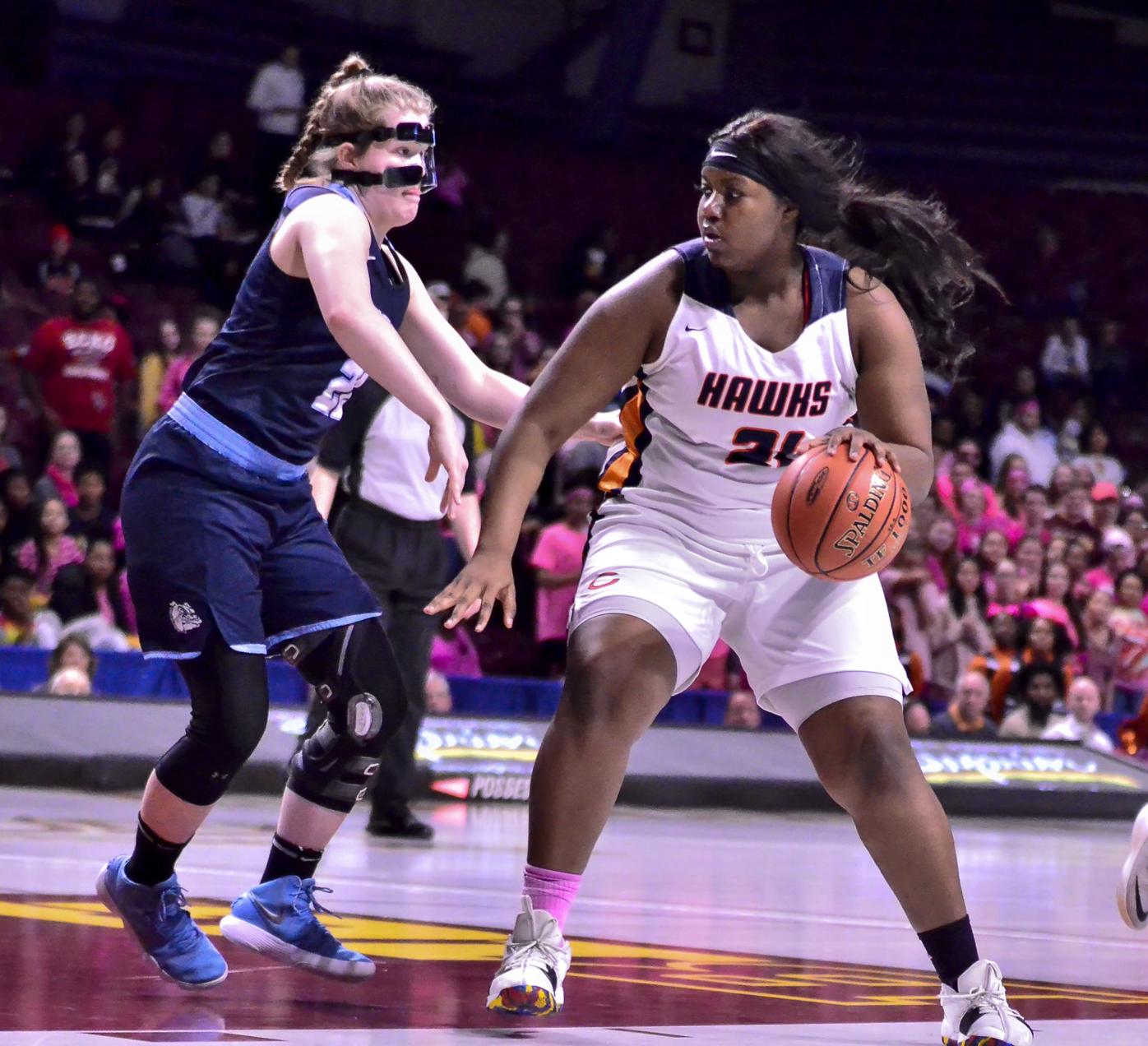 Robbinsdale Cooper girls basketball: Hawks move up a class, hire ...