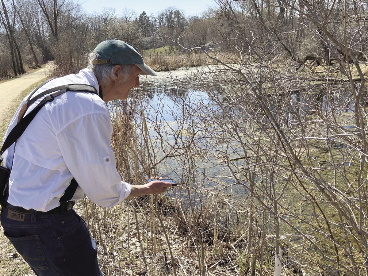 The Old Naturalist Offers Online Curriculum For Children To