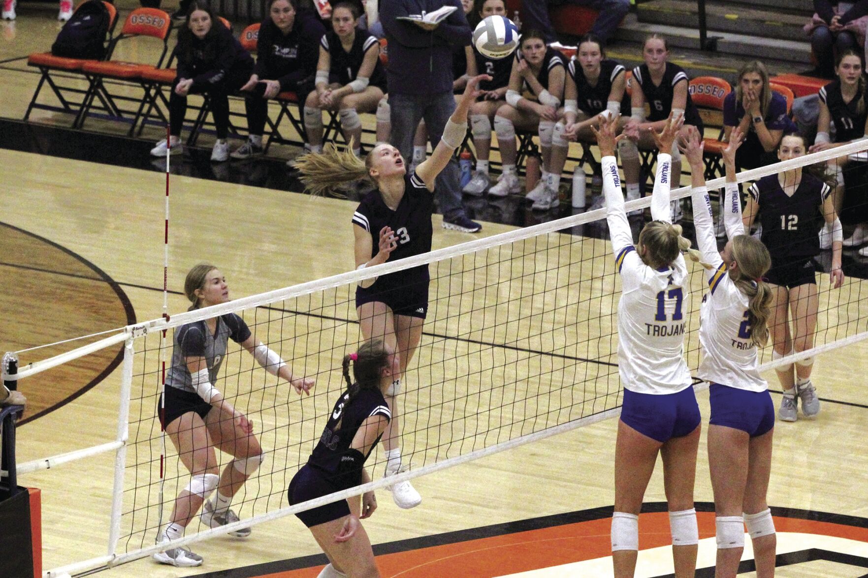 Champlin Park volleyball falls to undefeated Wayzata in section final