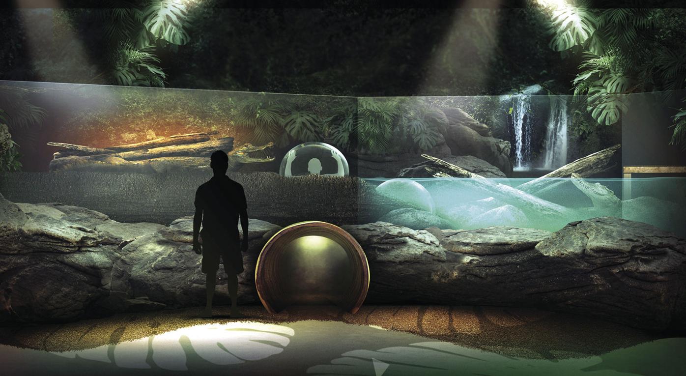 New exhibit coming to mall aquarium | Sun Current | hometownsource.com