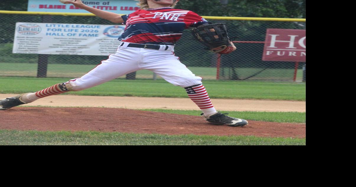 Area little league teams star at state tournament