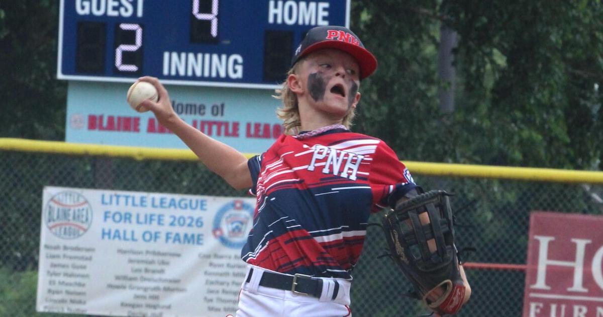 Area little league teams star at state tournament