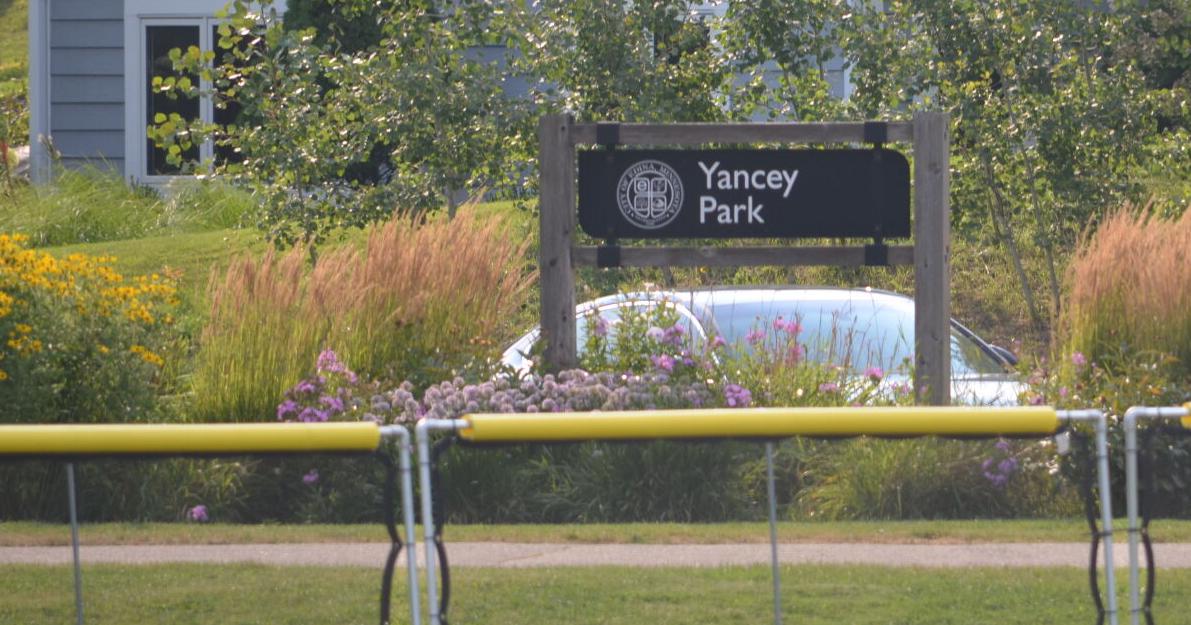 Edina considers regulating large gatherings in parks following Yancey Park shooting