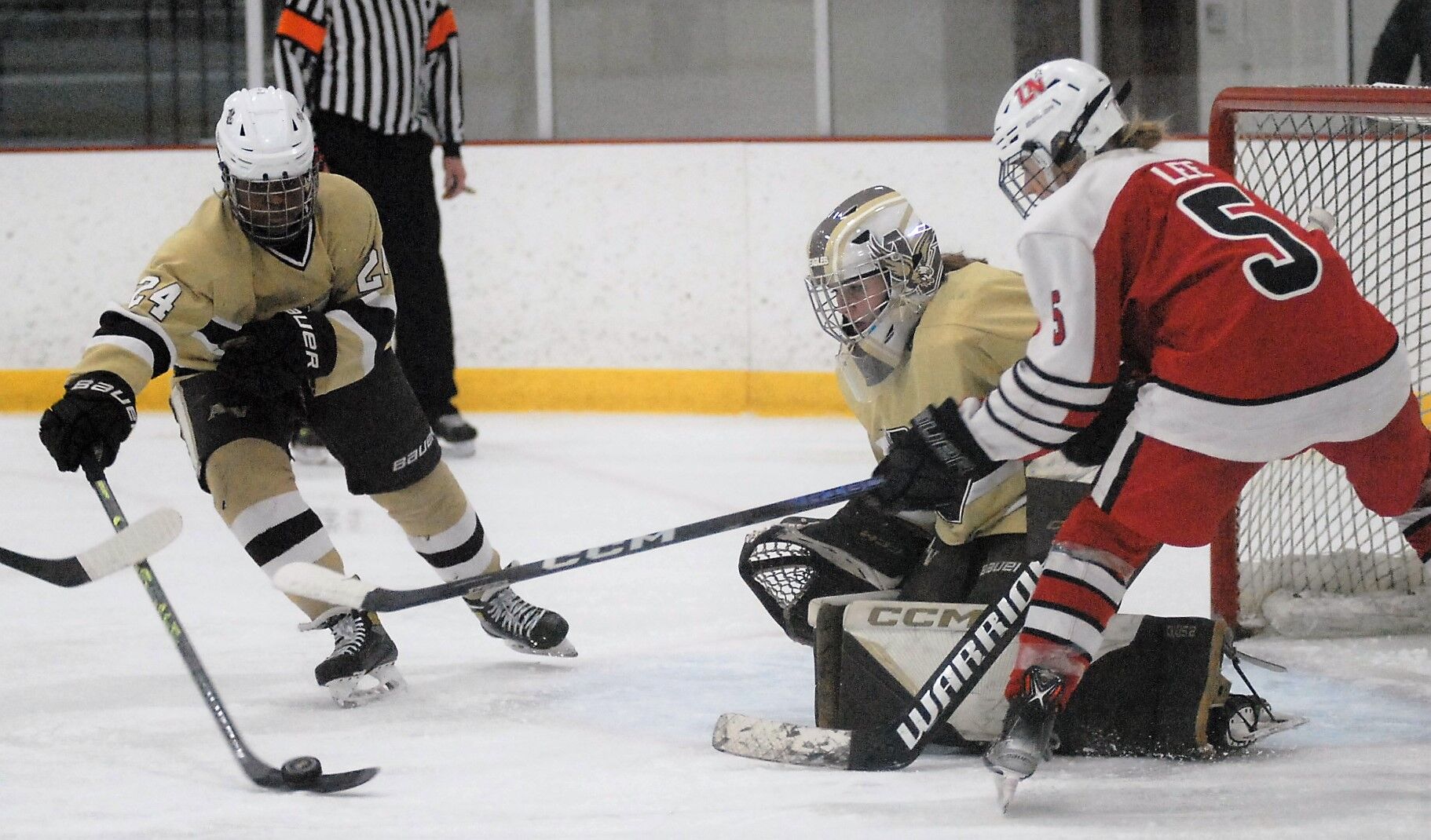 North gets top seed in Section 3AA girls hockey