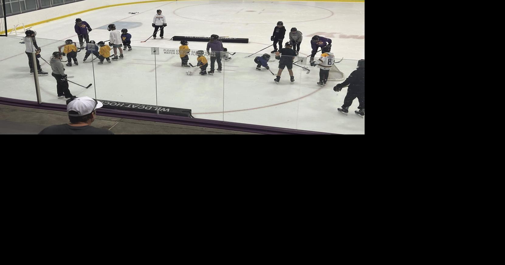 Puck drops on talks about 2nd ice surface in Waconia | Community ...