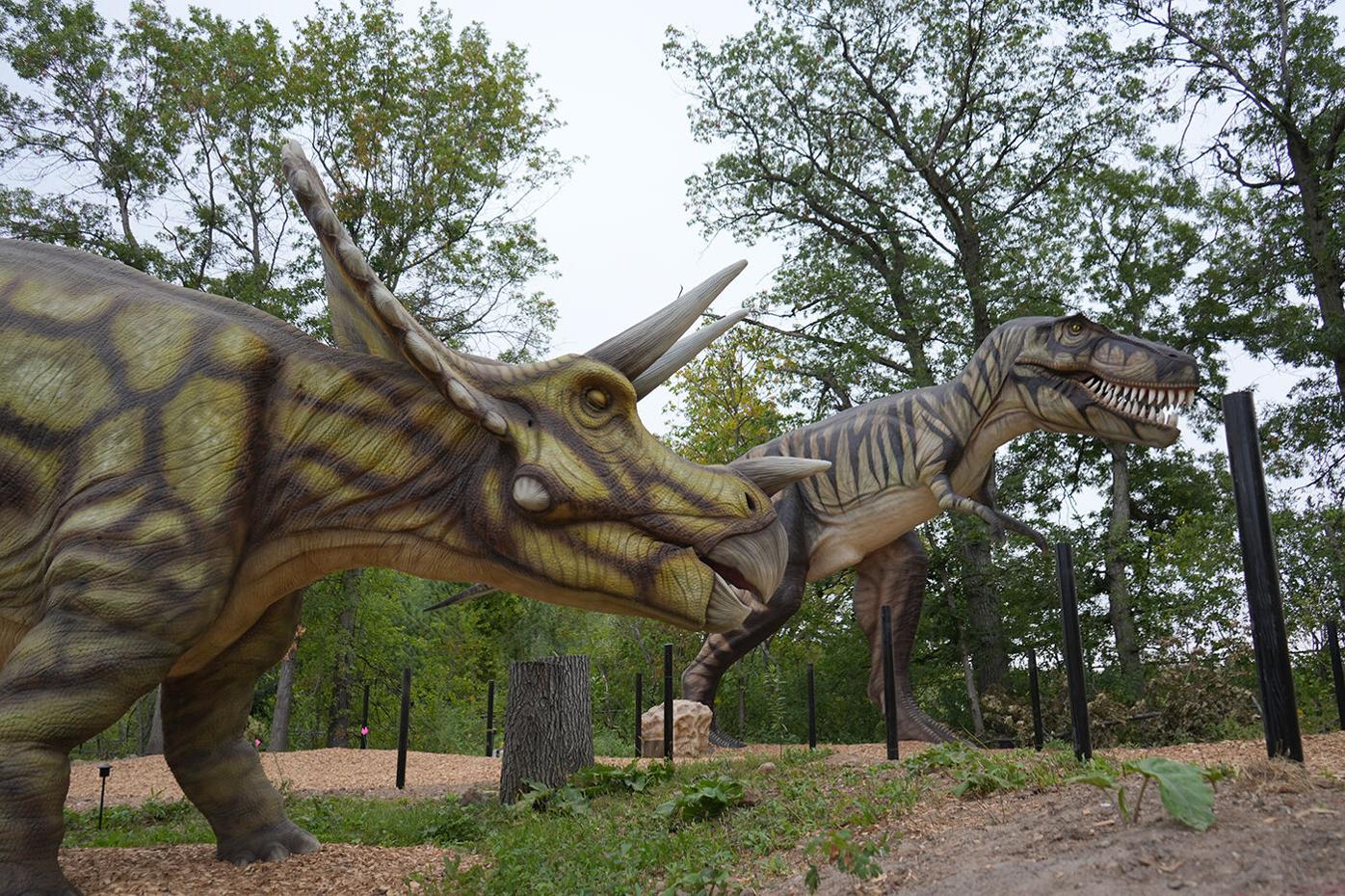 Minnesota Zoo sets summer events | Free | hometownsource.com