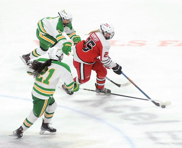 Andover, Edina dominate in Class AA girls hockey quarterfinals | Sports ...