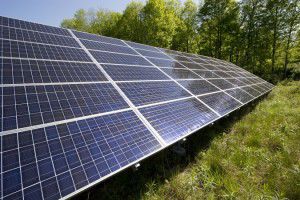 Connexus Energy Starting Solar Project Local News