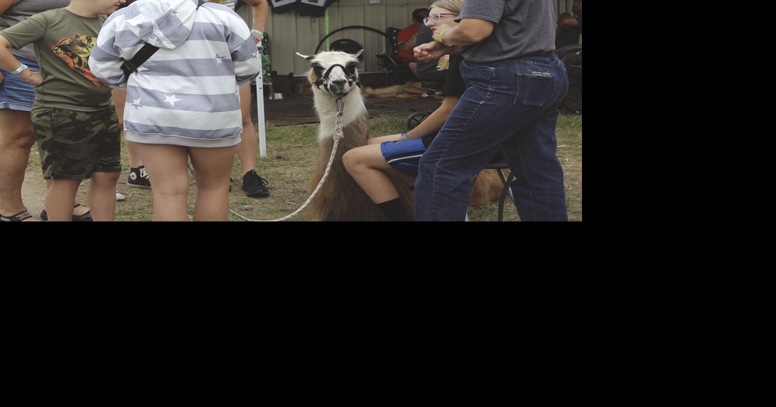Mille Lacs County Fair provides community with five days of fun Free