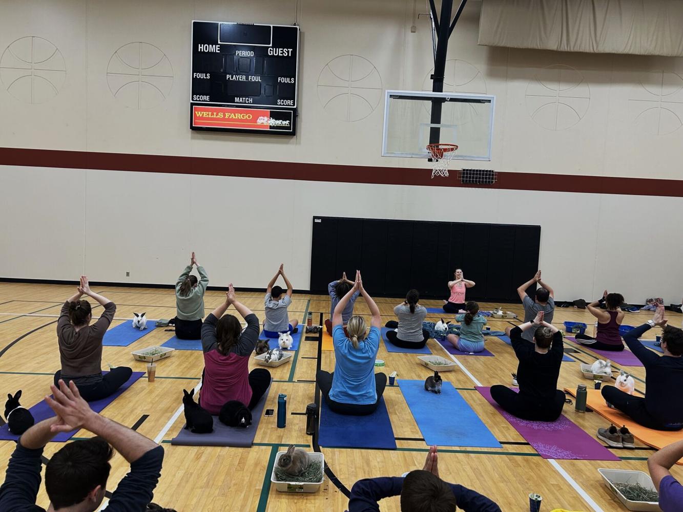Eden Prairie Community Center hops to bunny yoga | Eden Prairie ...