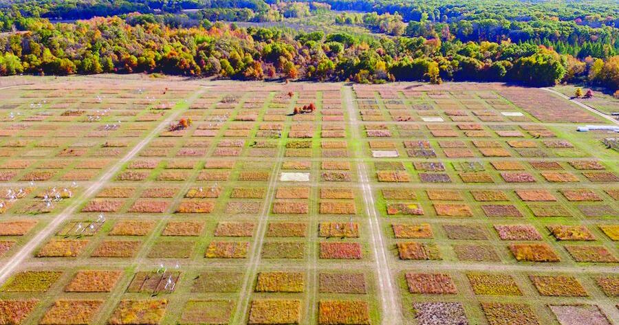 A new model for predicting plant resistance can help prepare for climate change