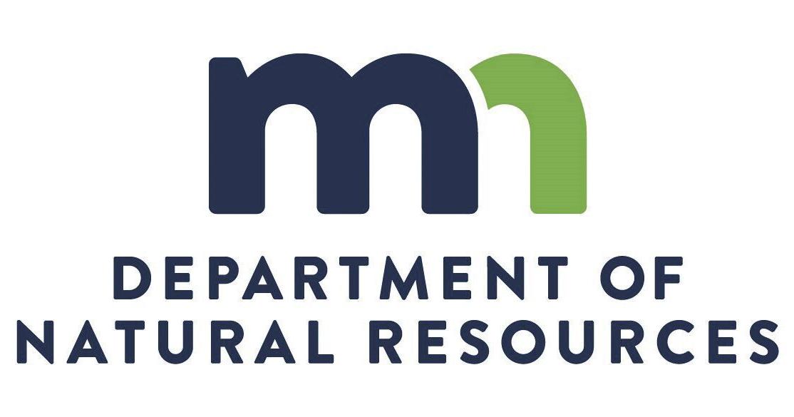 DNR seeks private woodland owners to help expand forest inventory data - Vimarsana News