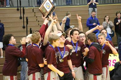 Anoka defeats St. Francis to win Section 7AAA wrestling title